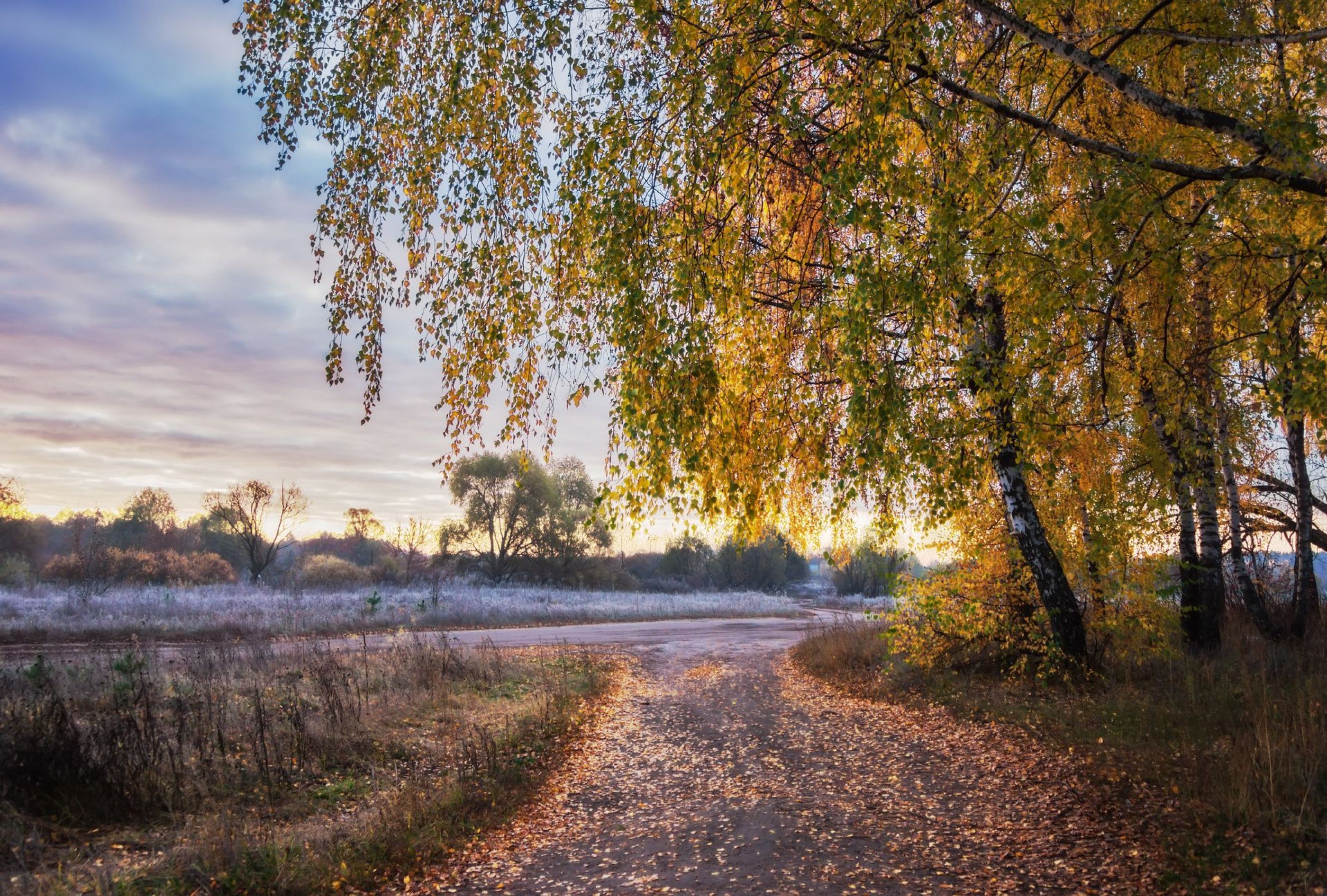 Морозное утро октября